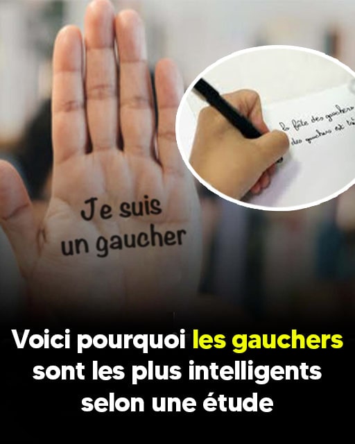 les gauchers-min (1)