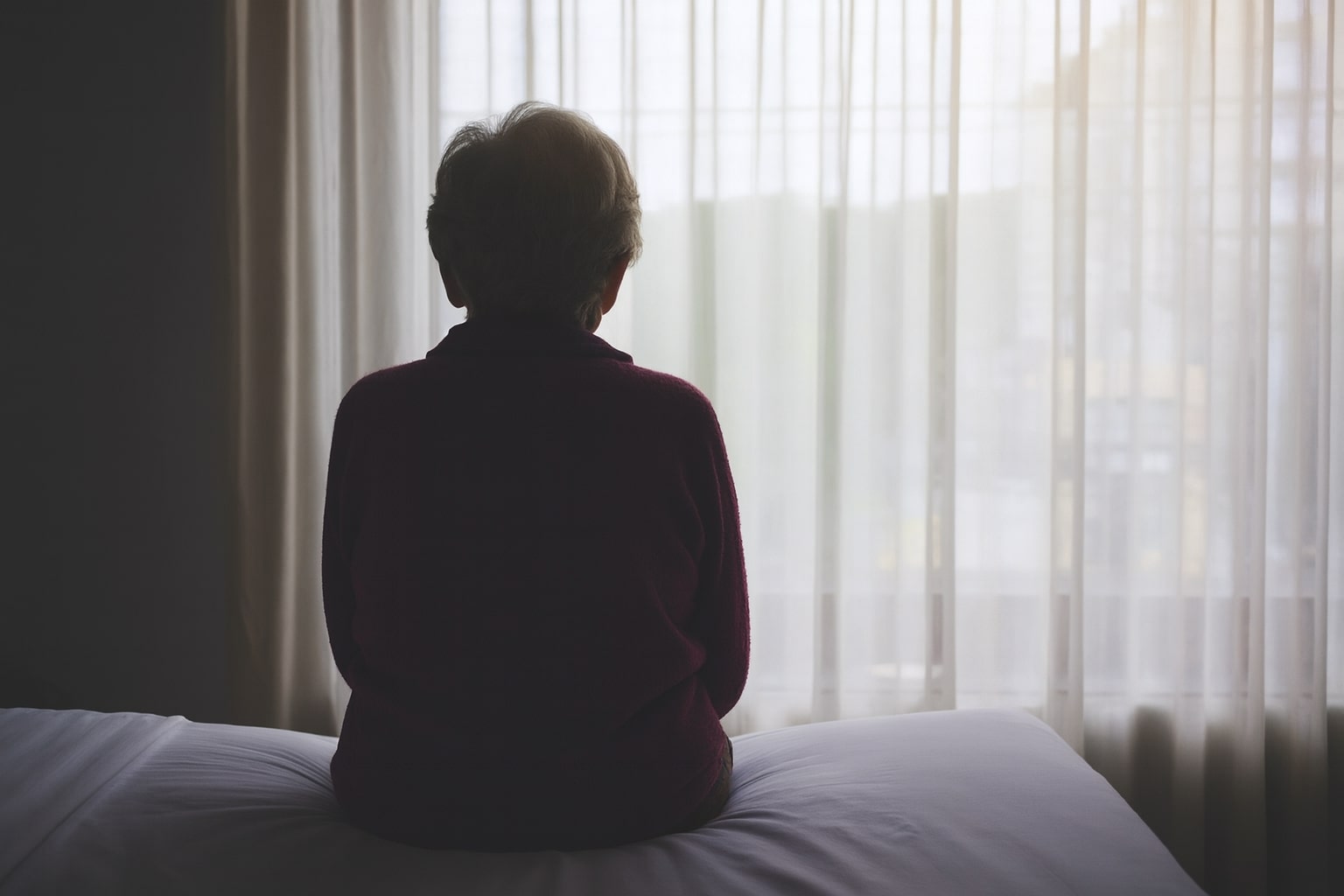 Quand la lumière revient pas à pas