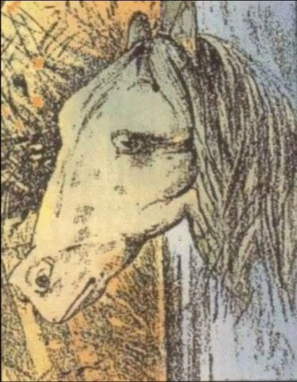 découvrez enfin le cheval caché