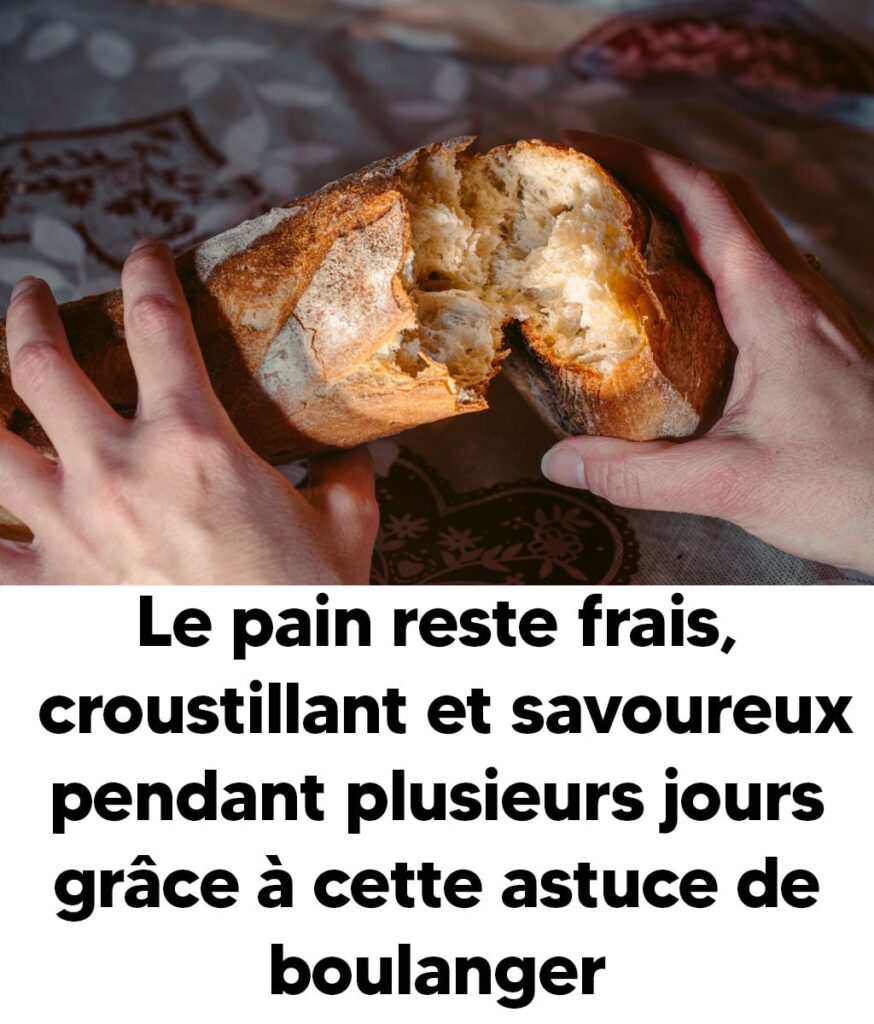 le pain reste frais-min