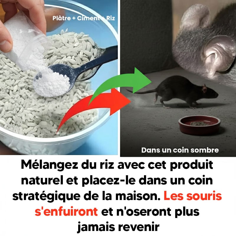 souris piege-min
