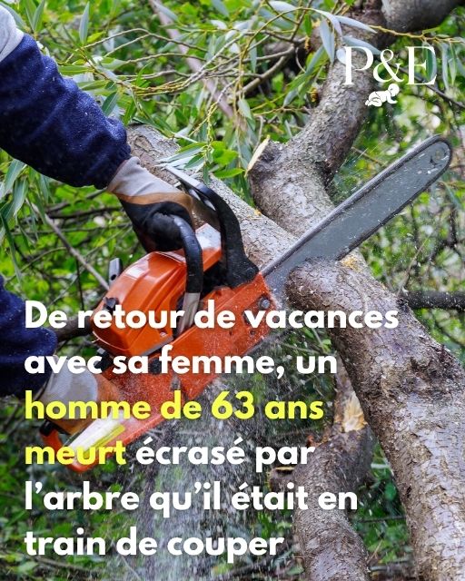 un homme meurt coupe arbre-min