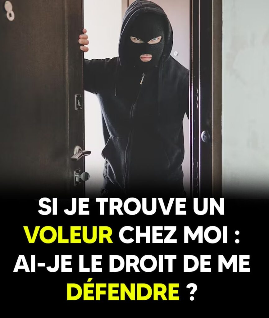 VOLEUR DEFENDRE-min